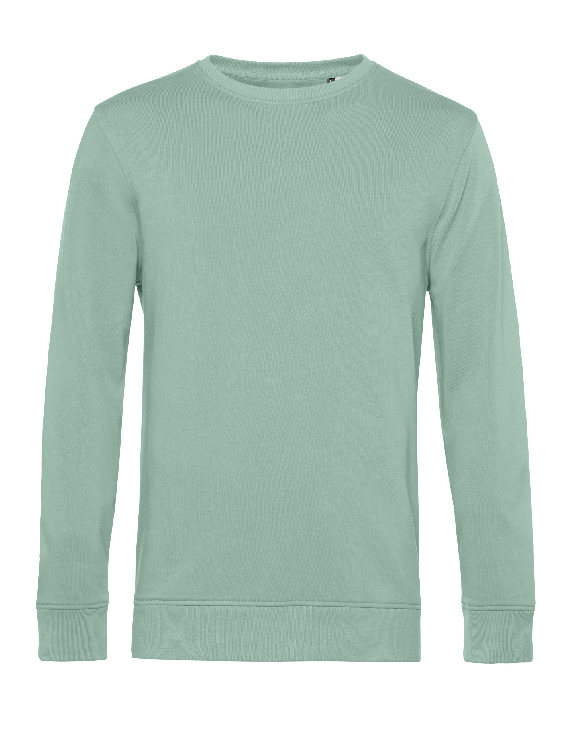 WU31B Inspire Crew Neck Sage