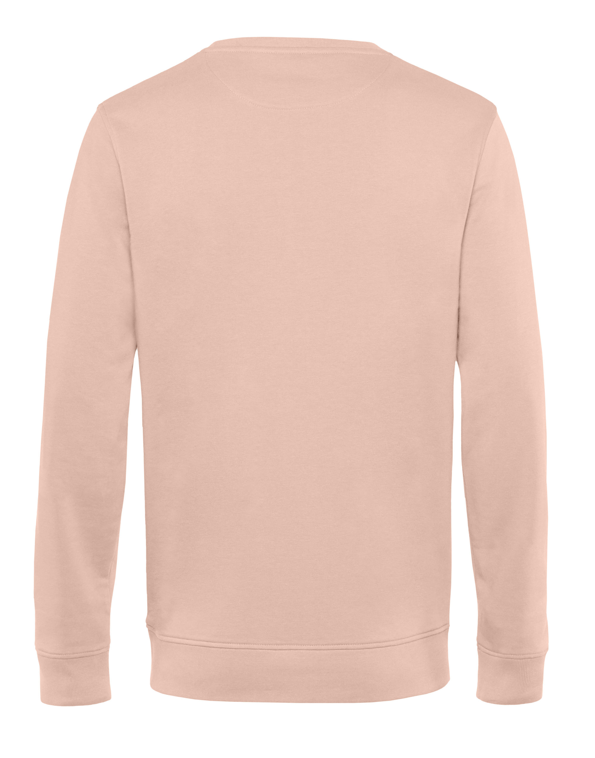 WU31B Inspire Crew Neck Soft Rose
