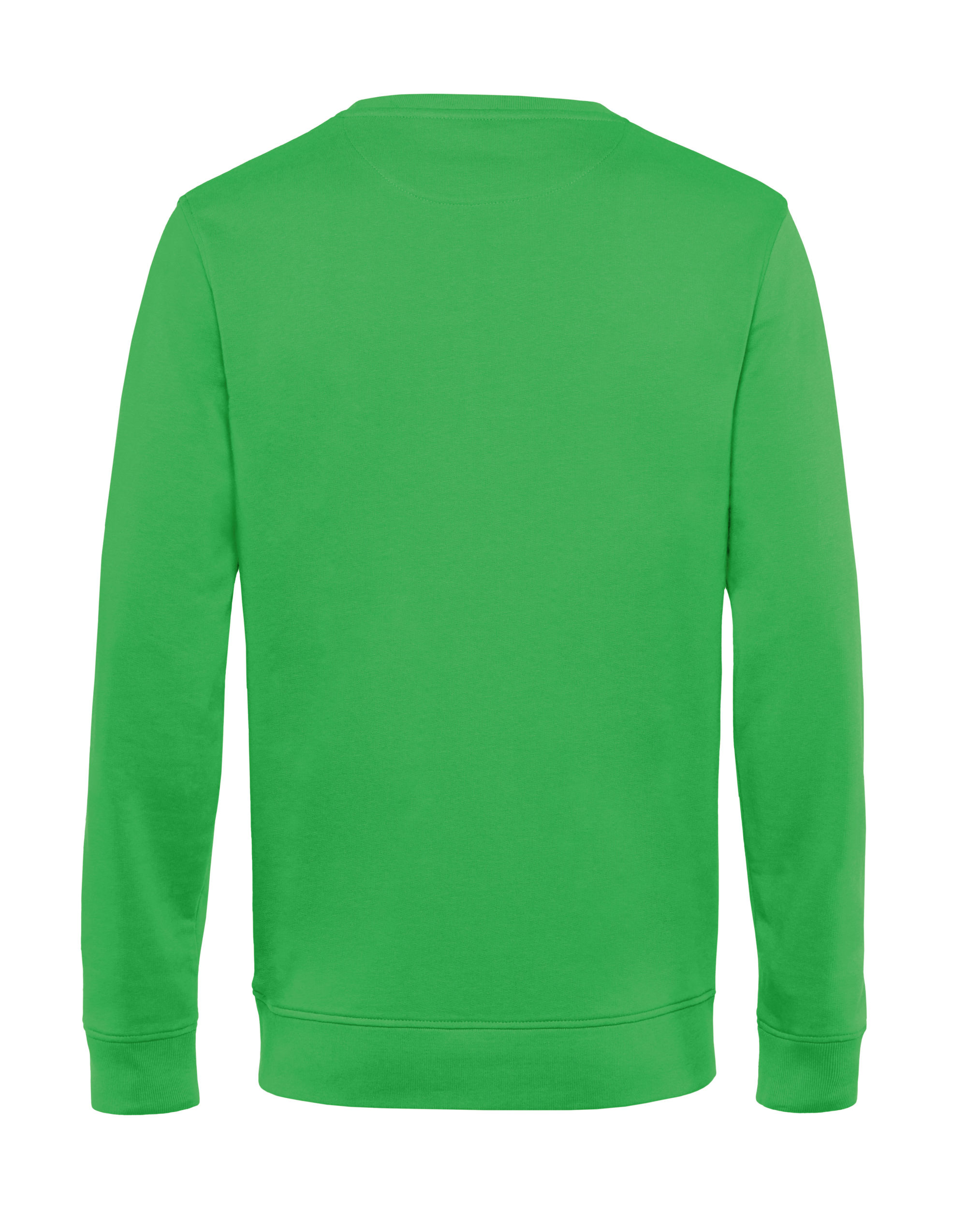 WU31B Inspire Crew Neck Apple Green