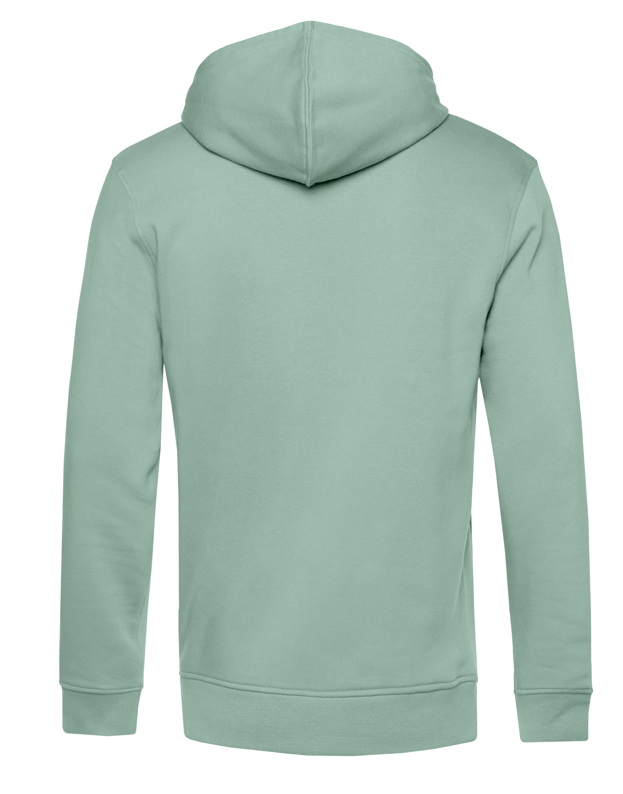 WU35B Inspire Zipped Hood Sage