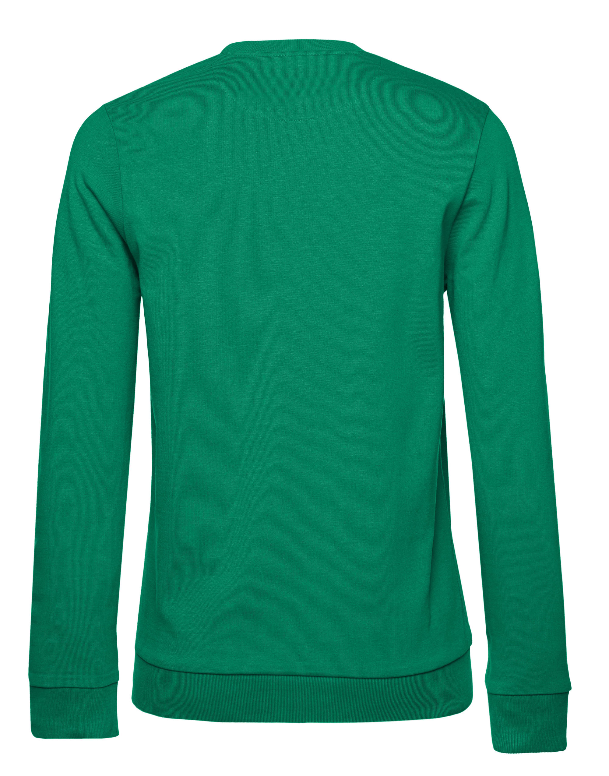 WW02W Women’s #Set In Sweatshirt Kelly Green