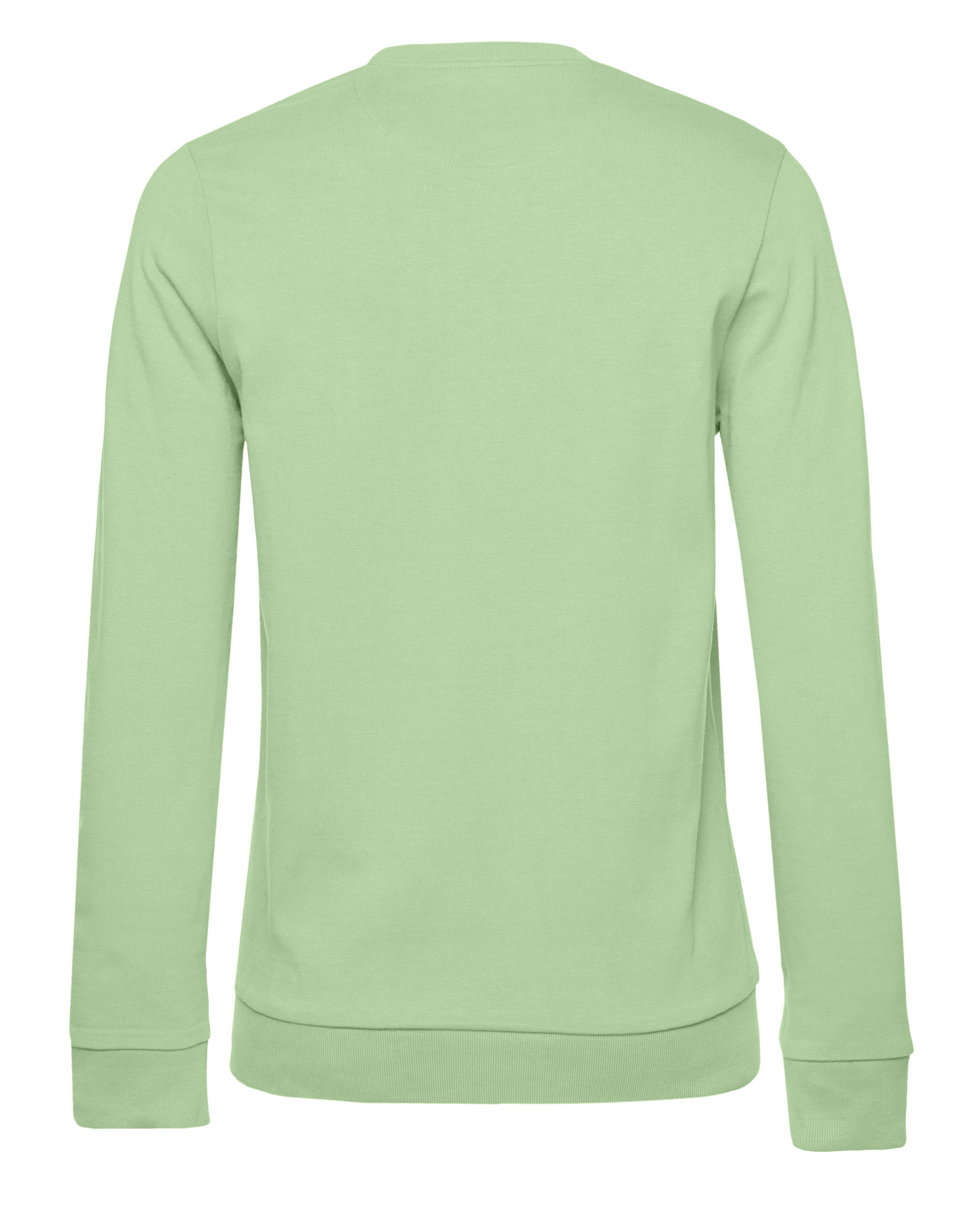 WW02W Women’s #Set In Sweatshirt Light Jade