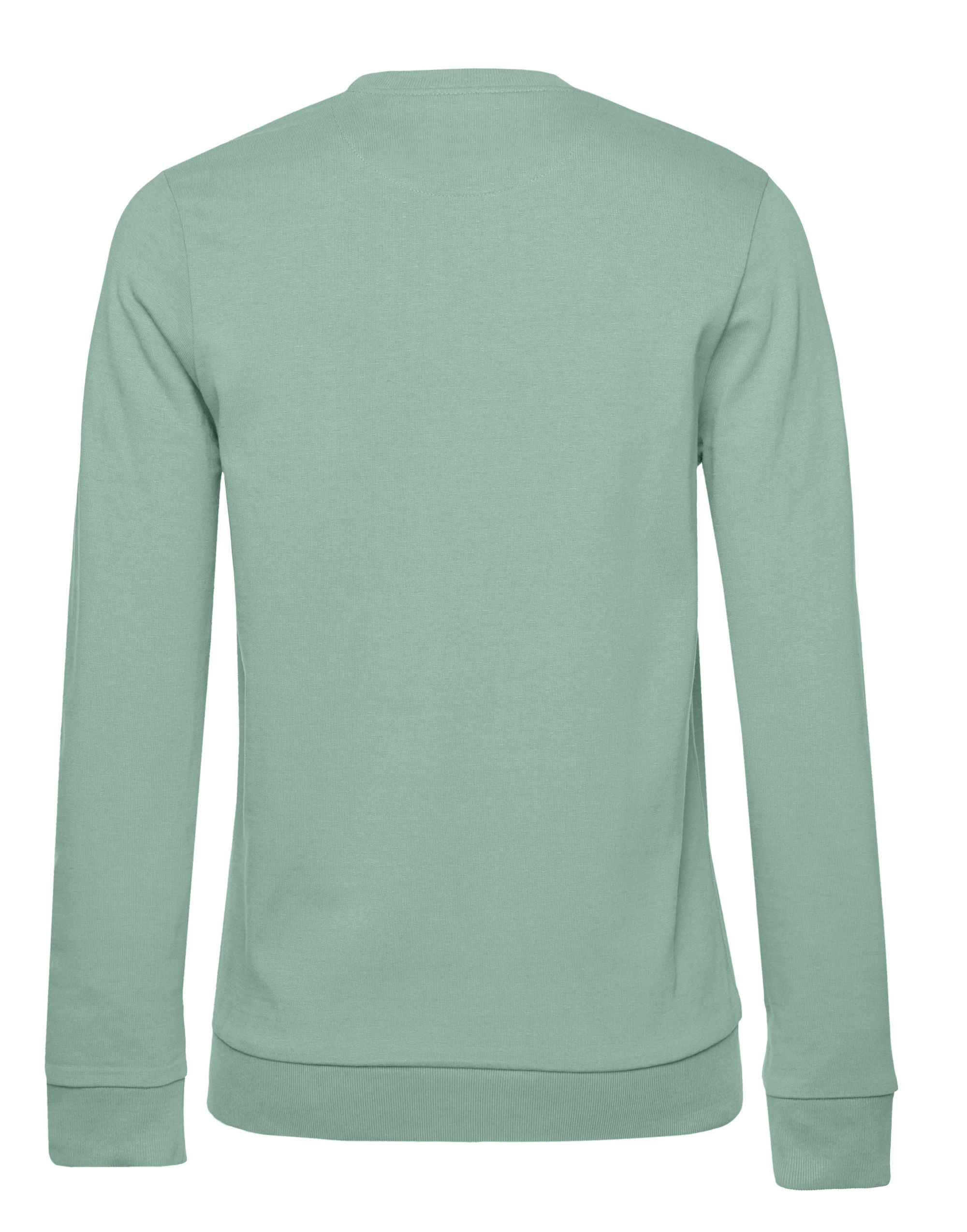 WW02W Women’s #Set In Sweatshirt Sage