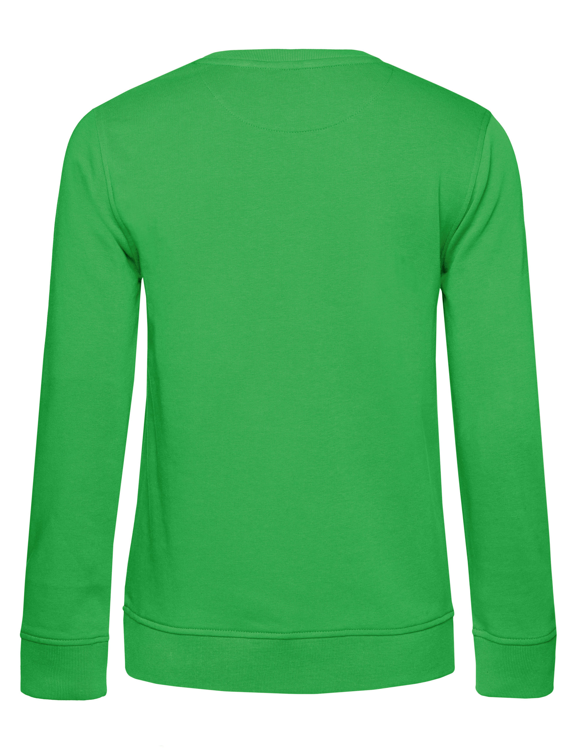 WW32B Inspire Crew Neck/ Women Apple Green