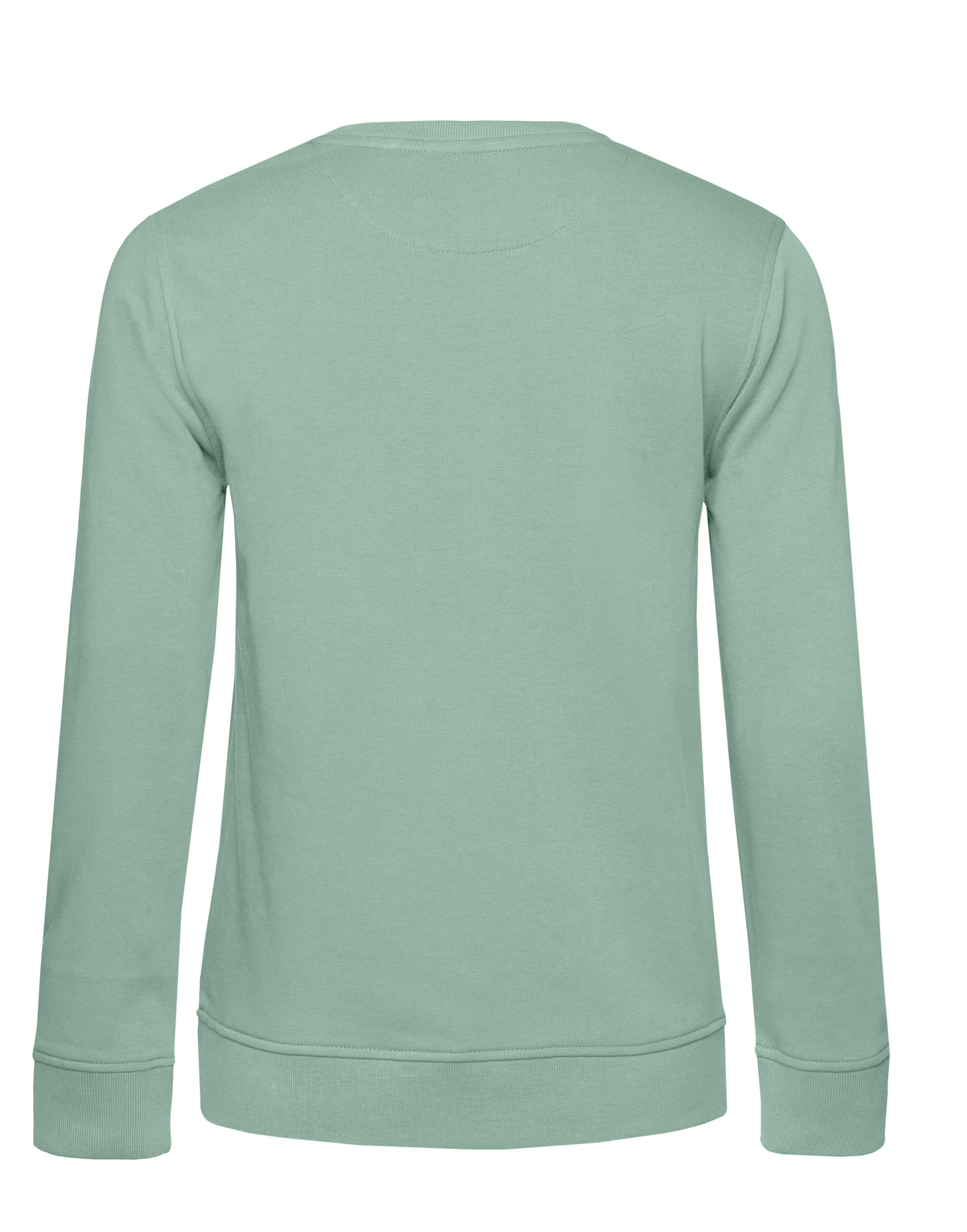 WW32B Inspire Crew Neck/ Women Sage