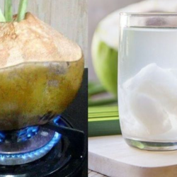 Cara Merebus Rebung yang Benar untuk Hasil Sempurna Cara Merebus Rebung yang Benar untuk Hasil Sempurna
