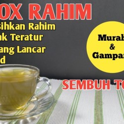 Resep Detox Rahim Zaidul Akbar: Solusi Alami untuk Kesehatan Reproduksi Resep Detox Rahim Zaidul Akbar: Solusi Alami untuk Kesehatan Reproduksi