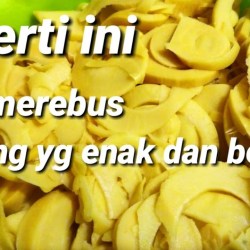 Cara Merebus Rebung Yang Benar untuk Kuliner Sehat Cara Merebus Rebung Yang Benar untuk Kuliner Sehat