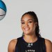 WNBA Star Napheesa Collier To Miss Unrivaled Season To Undergo Surgery WNBA Star Napheesa Collier To Miss Unrivaled Season To Undergo Surgery