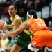 Former Notre Dame players Diggins, Citron and Young on WNBA All-Star rosters Former Notre Dame players Diggins, Citron and Young on WNBA All-Star rosters