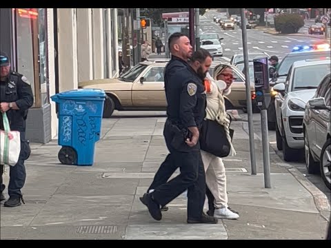 SF lady pinned throughout alleged jaywalking arrest sues metropolis, claims extreme use of power – Native Information Issues SF lady pinned throughout alleged jaywalking arrest sues metropolis, claims extreme use of power – Native Information Issues