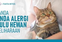 Memahami Alergi Hewan Peliharaan: Gejala, Penyebab, dan Solusi Tuntas Memahami Alergi Hewan Peliharaan: Gejala, Penyebab, dan Solusi Tuntas