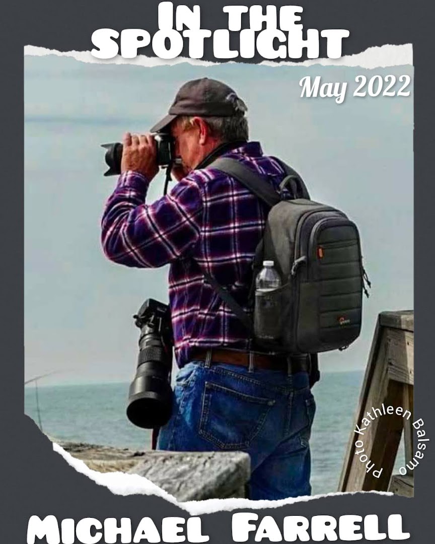 Michael Farrell, Class of 1974 showcased on “Long Island Birdtography” Michael Farrell, Class of 1974 showcased on “Long Island Birdtography”