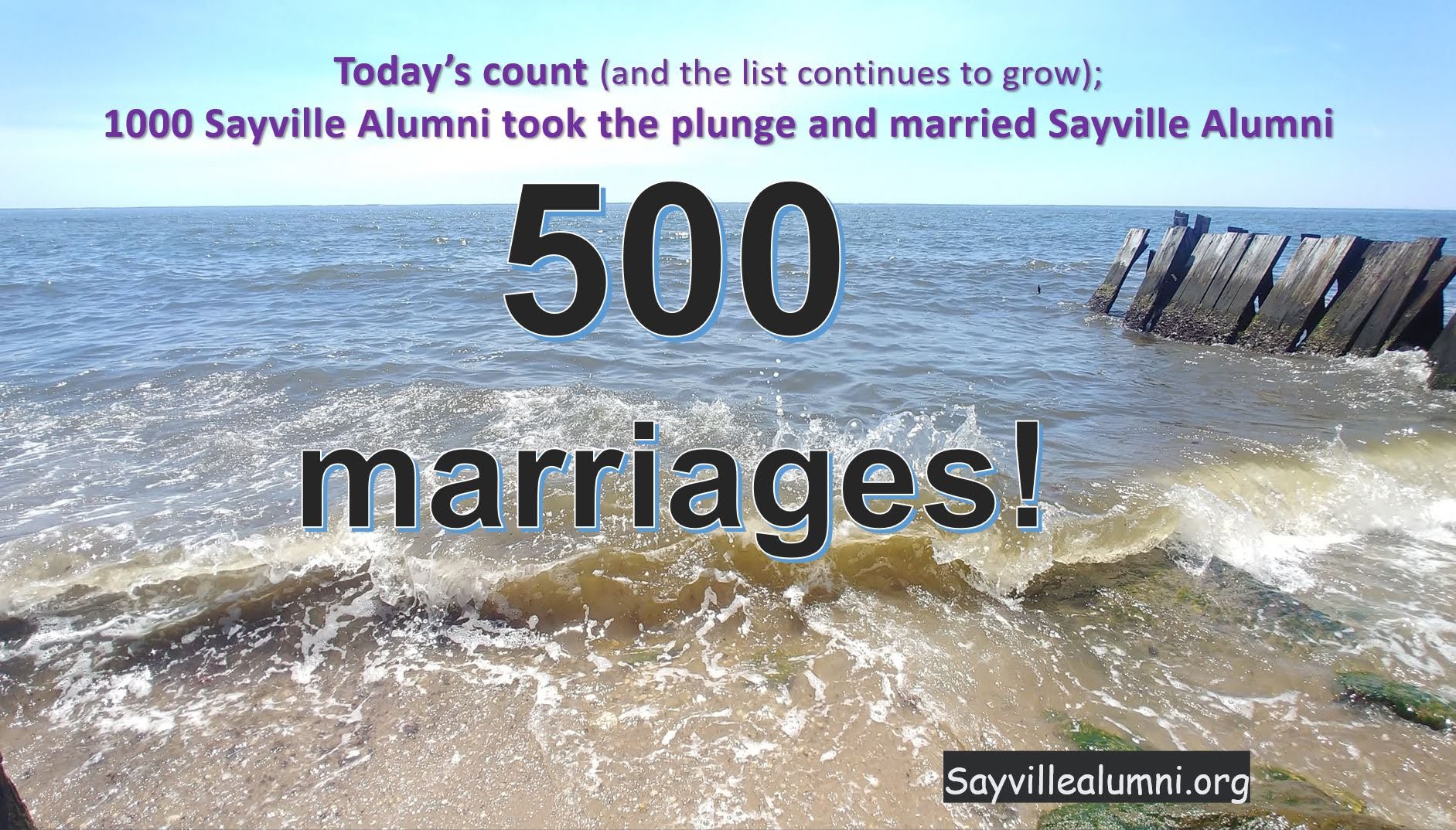 The Sayville Alumni Association has achieved a major milestone as a result of literally years of research on the part of our Historians committee. As of today, we have identified and verified a total of 500 Sayville High marriages. Yes, 1,000 Sayville High alumni took the plunge and married another Sayville High alumni. The Sayville Alumni Association has achieved a major milestone as a result of literally years of research on the part of our Historians committee. As of today, we have identified and verified a total of 500 Sayville High marriages. Yes, 1,000 Sayville High alumni took the plunge and married another Sayville High alumni.
