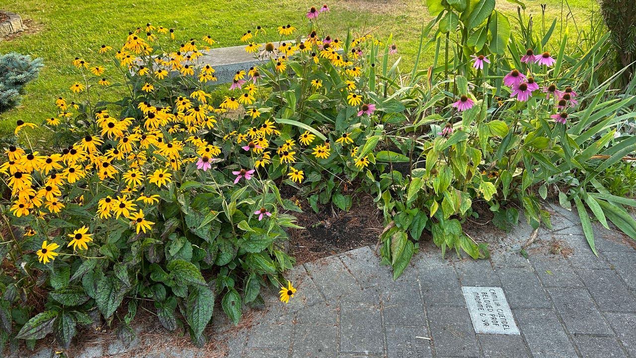 Camilia (Belzak) Guendel Memorial Stone in Kay Porter Park. Camilia (Belzak) Guendel Memorial Stone in Kay Porter Park.