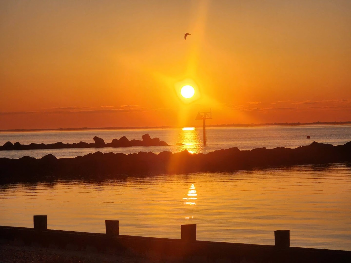 A chilly morning in Sayville… A chilly morning in Sayville…