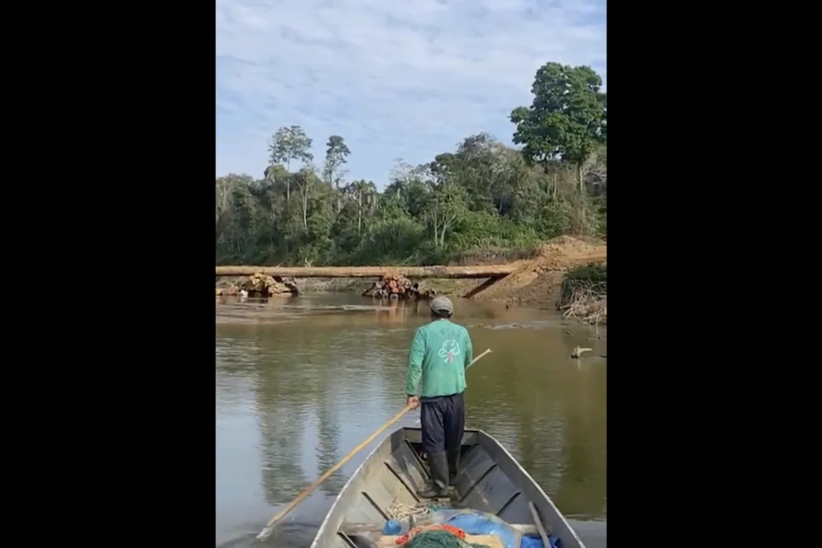 Remoted Amazon tribe seen close to logging bridge web site, alarming rights group Remoted Amazon tribe seen close to logging bridge web site, alarming rights group