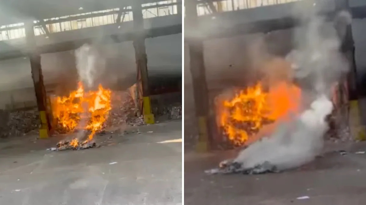 Consultants subject pressing warning after discovering ‘exploding zombie’ phenomenon throughout the nation Consultants subject pressing warning after discovering ‘exploding zombie’ phenomenon throughout the nation