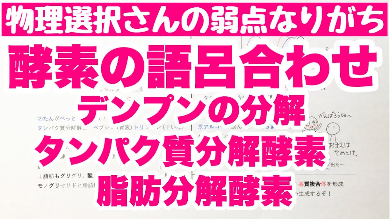 ペプシン ペプシン