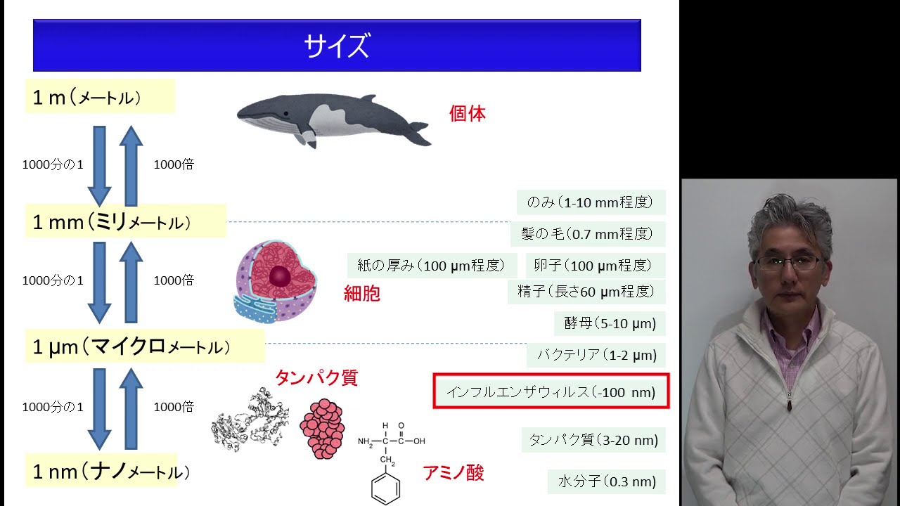 生物物理学 生物物理学