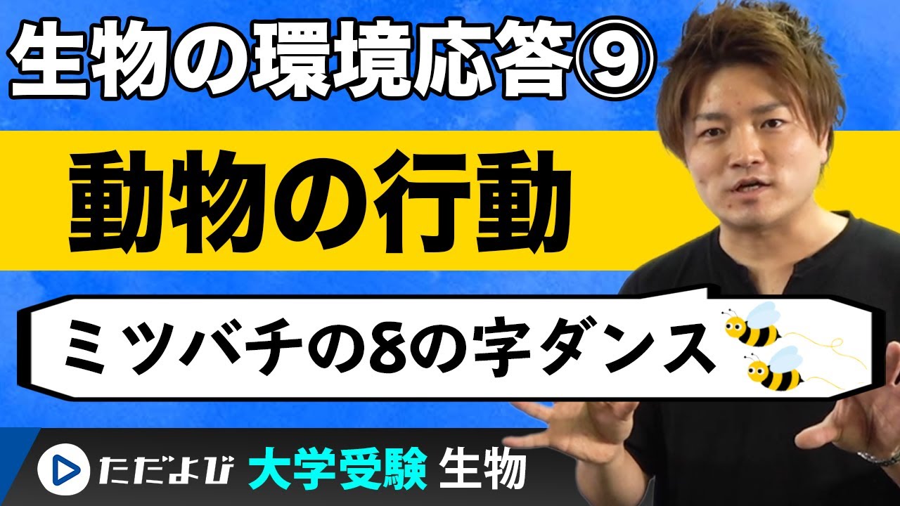 動物の行動と福祉 動物の行動と福祉