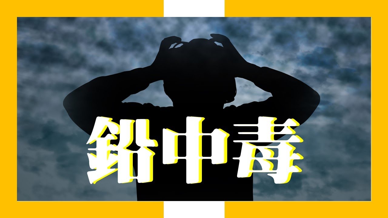 鉛中毒 鉛中毒