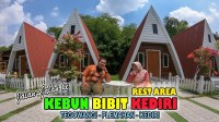 Kebun Bibit Kediri: Menanam Kebahagiaan Dengan Bibit Berkualitas Kebun Bibit Kediri: Menanam Kebahagiaan Dengan Bibit Berkualitas