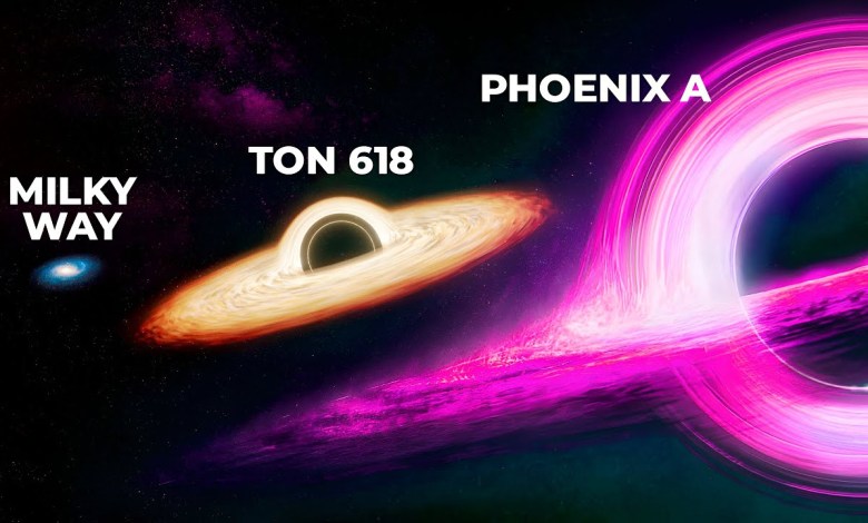 TON 618 VS PHOENIX A | Black Hole Size Comparison TON 618 VS PHOENIX A | Black Hole Size Comparison