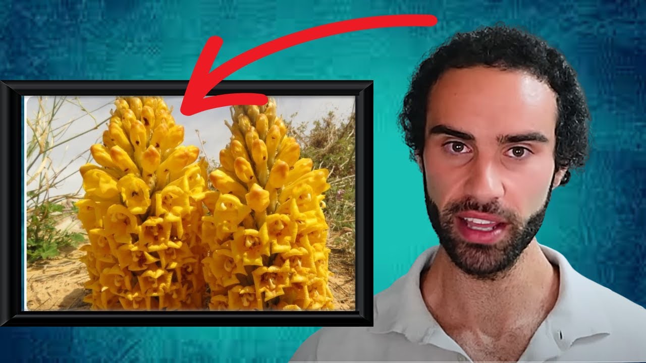 The Unknown Natural Test Booster No One Is Talking About The Unknown Natural Test Booster No One Is Talking About