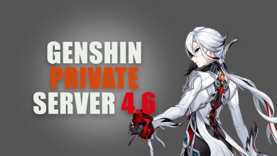 GENSHIN IMPACT PRIVATE SERVER 4.6 | DOWNLOAD SERVER | GENSHIN IMPACT PRIVATE SERVER 4.6 | DOWNLOAD SERVER |