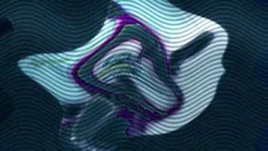 (NEWEREST EFFECT) Clap clap clap clap Gummy Bear in My G (NEWEREST EFFECT) Clap clap clap clap Gummy Bear in My G