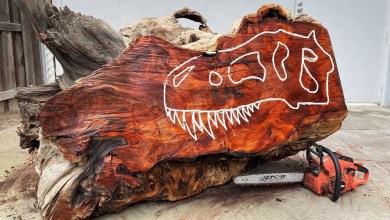 I Spent 400 Hours Carving This Out of an Ancient Tree. I Spent 400 Hours Carving This Out of an Ancient Tree.