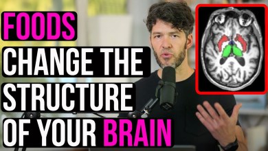 Diet & Mental Health: Vegan VS Omnivore Diet Change Brain Diet & Mental Health: Vegan VS Omnivore Diet Change Brain