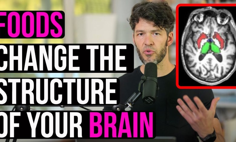 Diet & Mental Health: Vegan VS Omnivore Diet Change Brain Diet & Mental Health: Vegan VS Omnivore Diet Change Brain