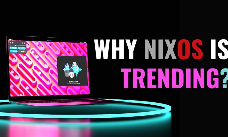 NixOS : The HYPE is Real ! Everything You NEED to Know (NEW!) NixOS : The HYPE is Real ! Everything You NEED to Know (NEW!)