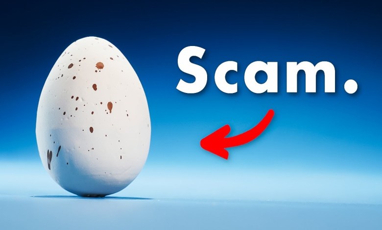 This Egg is Nature’s Greatest Scam This Egg is Nature’s Greatest Scam