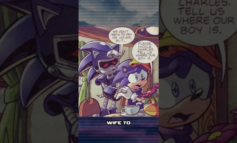 Who Is Sonic’s Mom? Who Is Sonic’s Mom?