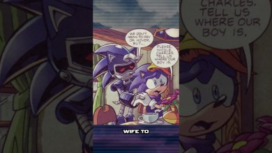 Who Is Sonic’s Mom? Who Is Sonic’s Mom?