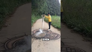 Crazy hyper realistic pictures Crazy hyper realistic pictures