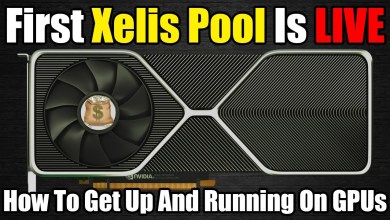First Xelis Pool Is LIVE – How To Connect First Xelis Pool Is LIVE – How To Connect