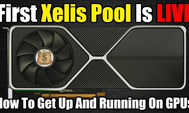 First Xelis Pool Is LIVE – How To Connect First Xelis Pool Is LIVE – How To Connect