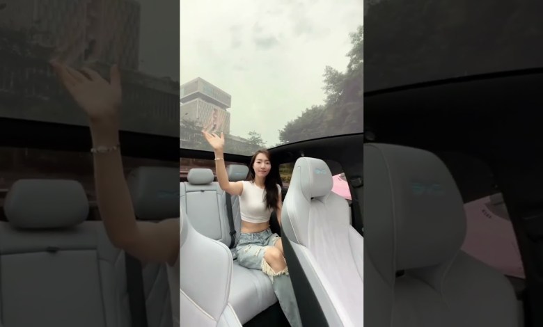 Tesla Model 3 VS BYD Seal, #shorts Tesla Model 3 VS BYD Seal, #shorts