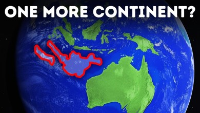 Scientific Discoveries So Unbelievable They Seem Like Fiction Scientific Discoveries So Unbelievable They Seem Like Fiction