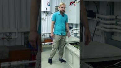 Майнинг в иммерсионной ванне. Antminer T21. #antminer Майнинг в иммерсионной ванне. Antminer T21. #antminer