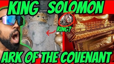 Scary Tiktoks That Will Make You Rethink Reality Part 29 | Scary Tiktoks That Will Make You Rethink Reality Part 29 |