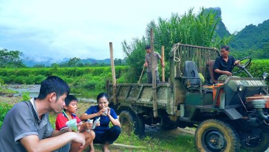 Mining and transporting sand for road construction. Mining and transporting sand for road construction.