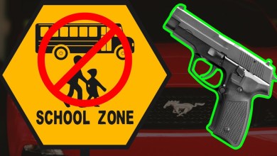New Carry In Your Car Law! Beware of Federal School Zone Law New Carry In Your Car Law! Beware of Federal School Zone Law