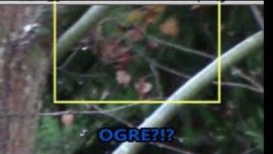 Bigfoot, Orbs & an Ogre (?) Filmed in Germany! WBR Golden Bigfoot, Orbs & an Ogre (?) Filmed in Germany! WBR Golden