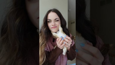 Too much REDBULL #cuteness #cutie #active #hyped #hyper Too much REDBULL #cuteness #cutie #active #hyped #hyper