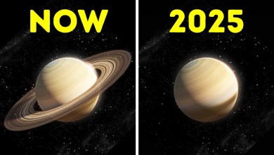 Dramatic Changes That Await Our Universe Soon Dramatic Changes That Await Our Universe Soon